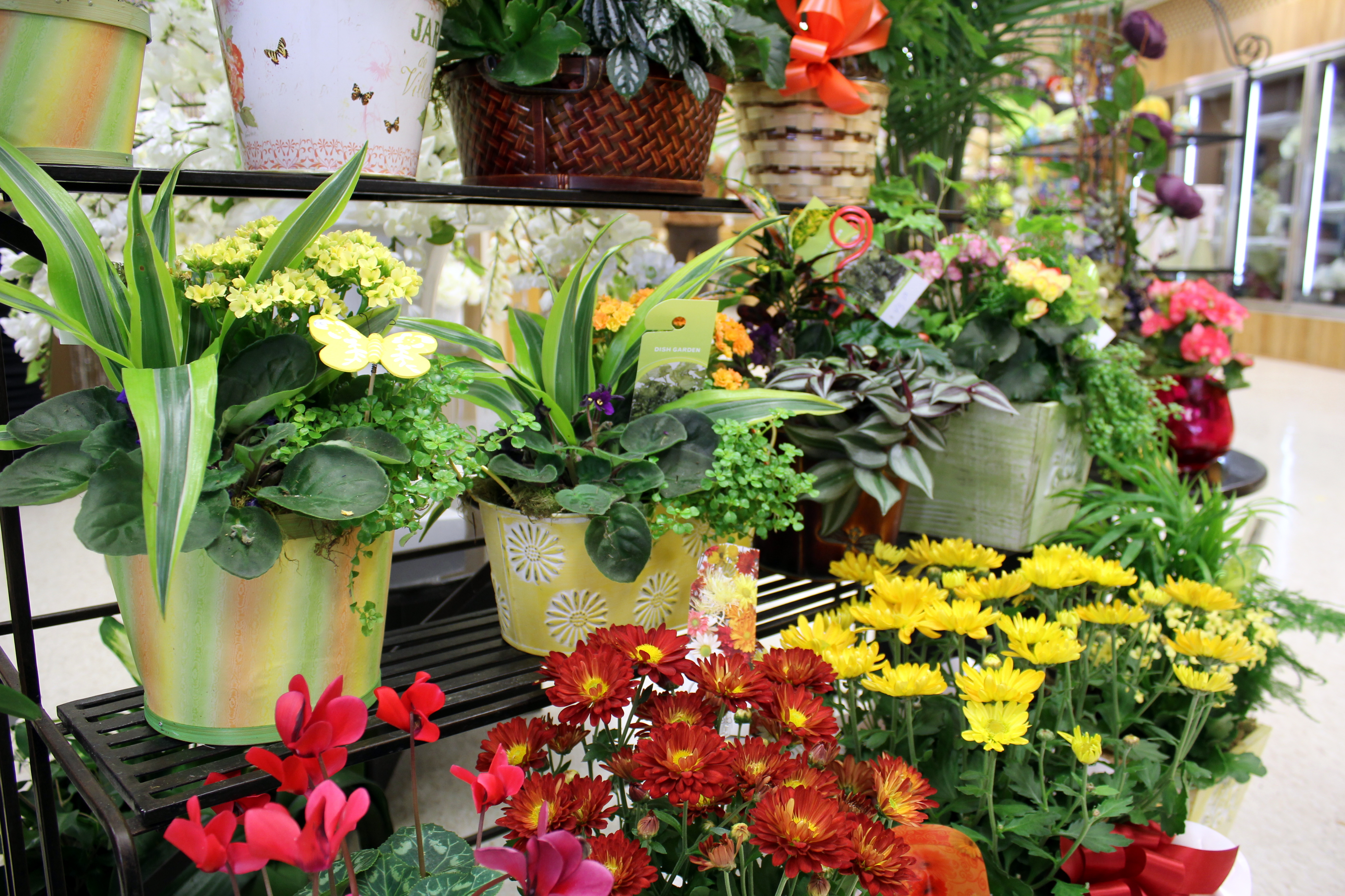 Anns Flowers Winnipeg_0054