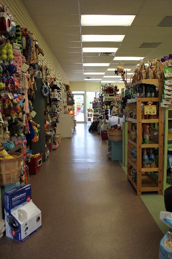 It's Raining Cats and Dogs