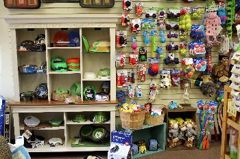 It's Raining Cats and Dogs