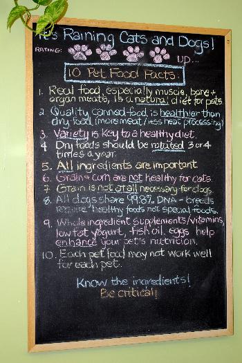 It's Raining Cats and Dogs