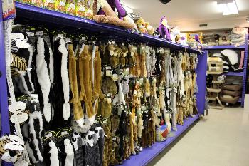 Masterfeeds Cowtown Regina_105