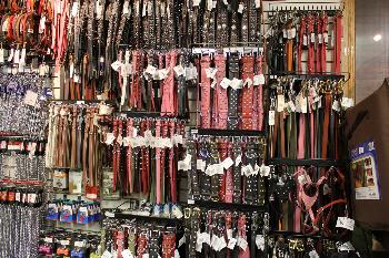 Masterfeeds Cowtown Regina_108